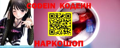 стафф Кингисепп