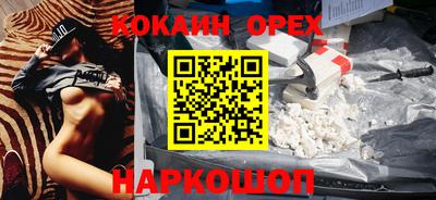 стафф Кингисепп
