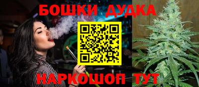 стафф Кингисепп
