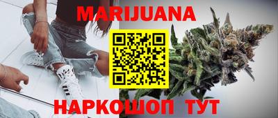 стафф Кингисепп
