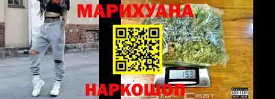 стафф Кингисепп