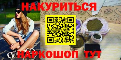 стафф Кингисепп