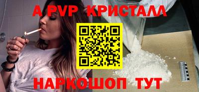 стафф Кингисепп