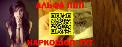 стафф Кингисепп