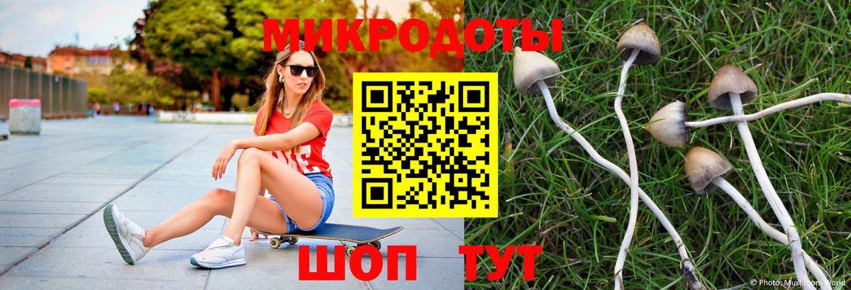 Псилоцибиновые грибы ЛСД Кудымкар